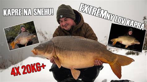 Séria kreslených ilustrácií kapra v rôznych štýloch