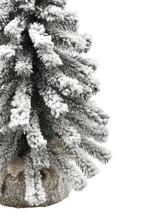 Zasnežený stromček s jutovým obalom