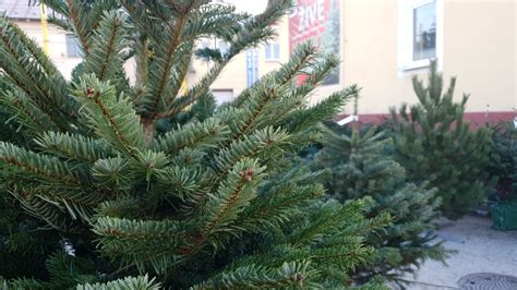 ilustračné foto: detail konštrukcie stabilného stojana umelého stromčeka