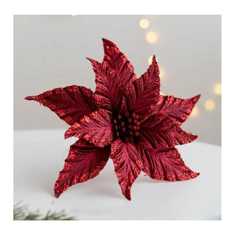 veľký, výrazný kvet zornice v červenej farbe