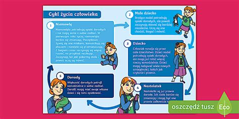 infografika: priebeh svadobných príprav a rola televízie
