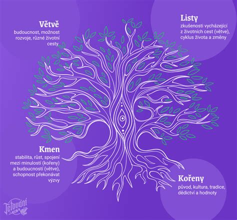 Infografika: Kľúčové symbolické významy Stromu života
