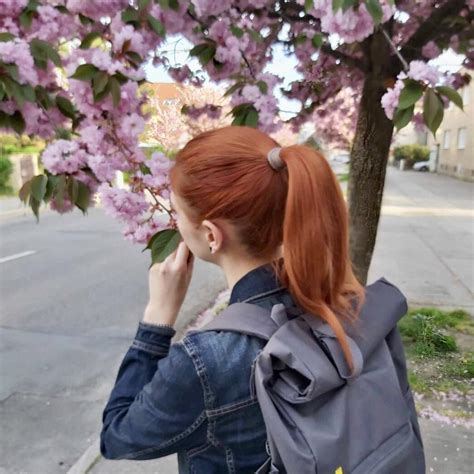 Schéma vrstvenia materiálu na korpus venca (základ, izolačná vrstva, dekoratívne prvky)