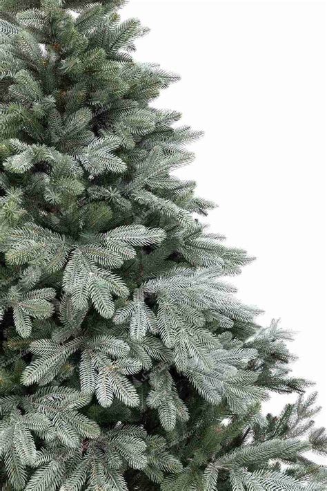 Detail 3D ihličia vianočného stromčeka Tajga, zdôrazňujúci realistický vzhľad a štruktúru