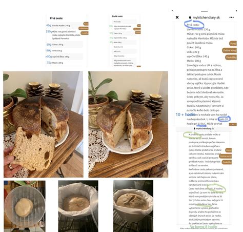 panettone s hrozienkami a kandizovaným ovocím