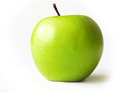 Ilustrácia rôznych vianočných veštieb (jablko, topánka, orechové loďky).