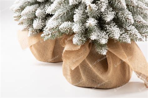 Vianočný stromček v kvetináči zabalený v jute na balkóne v zime