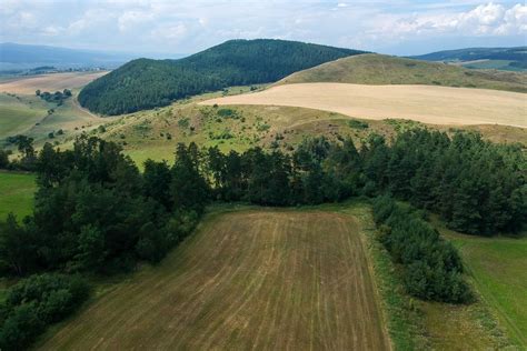 Archeologická lokalita Myšia hôrka - schéma opevneného pravekého mestečka