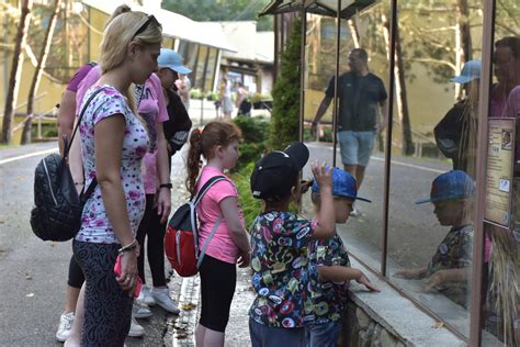 Ilustračné foto detí na výlete v ZOO.