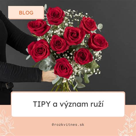 Infografika znázorňujúca význam počtu darovaných ruží