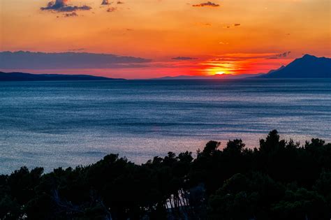 Fotografia rojenia podeniek nad hladinou rieky Tisza pri západe slnka