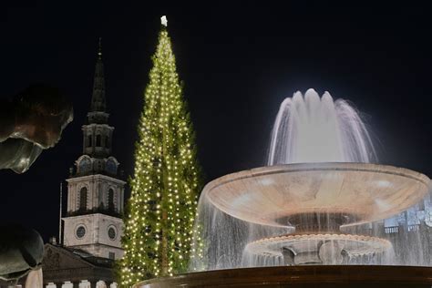 fotografia vianočného stromčeka na Trafalgarskom námestí v Londýne
