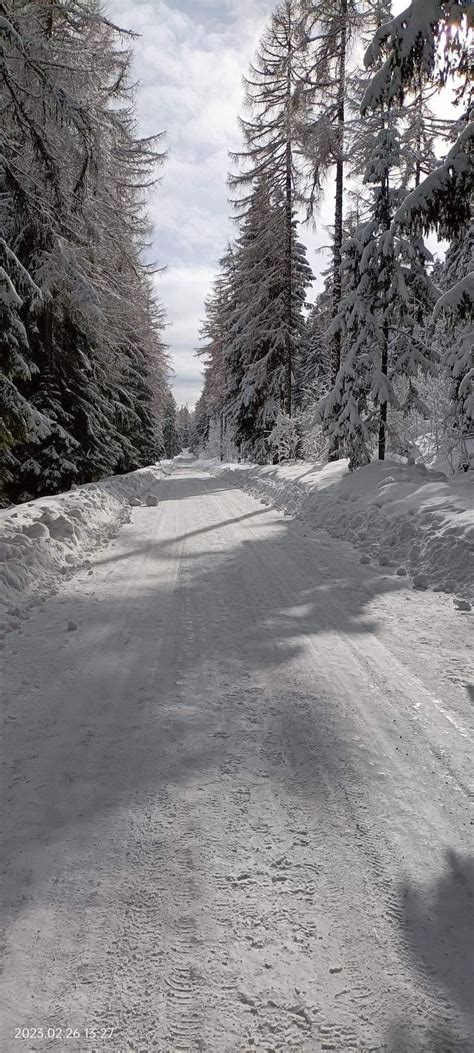 GIF so zasneženou krajinou