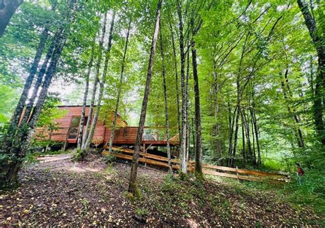 okolitá príroda a les v okolí chaty Patúch