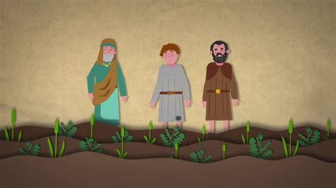 Ilustrácia podobenstva o pšenici a kúkoli