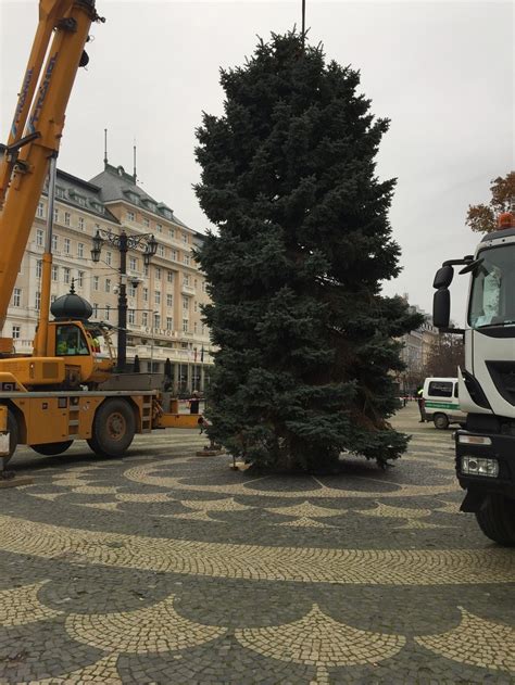 Fotografia rozsvieteného vianočného stromu na námestí v Bojniciach