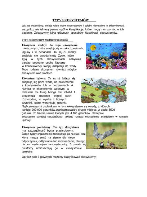 Infografika: rôzne typy veľkonočných zajačikov (papier, plsť, polystyrén)