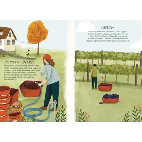 Ilustrácia: Zarážanie hory vo vinohrade