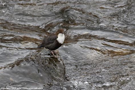 Ilustračná fotografia opatrovateľa, ktorý si vychutnáva krátky oddych.