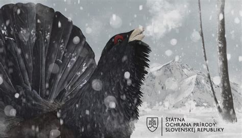 Zimná krajina s vianočným osvetlením a adventným vencom ako symbol začiatku príprav na Vianoce