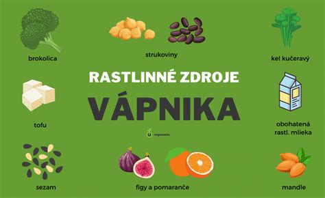 Ilustrácia zobrazujúca zdroje vápnika v strave, ako sú mliečne výrobky, listová zelenina a orechy.