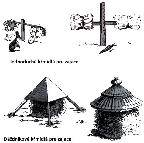 Infografika: Rozdelenie vhodného krmiva pre lesnú zver