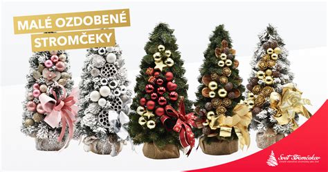 Dva malé vianočné stromčeky v kvetináčoch pred dverami