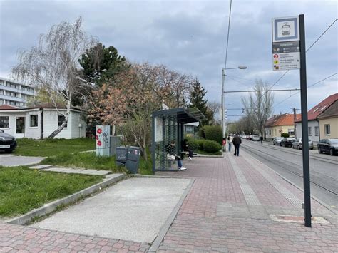 Ilustrácia kocúrika Olivera pred vyhorením hostinca Horáreň