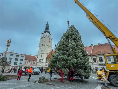 Fotografia žeriavu osadzujúceho vianočný stromček na námestí